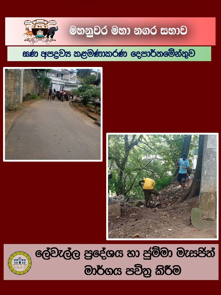 Gallery Media