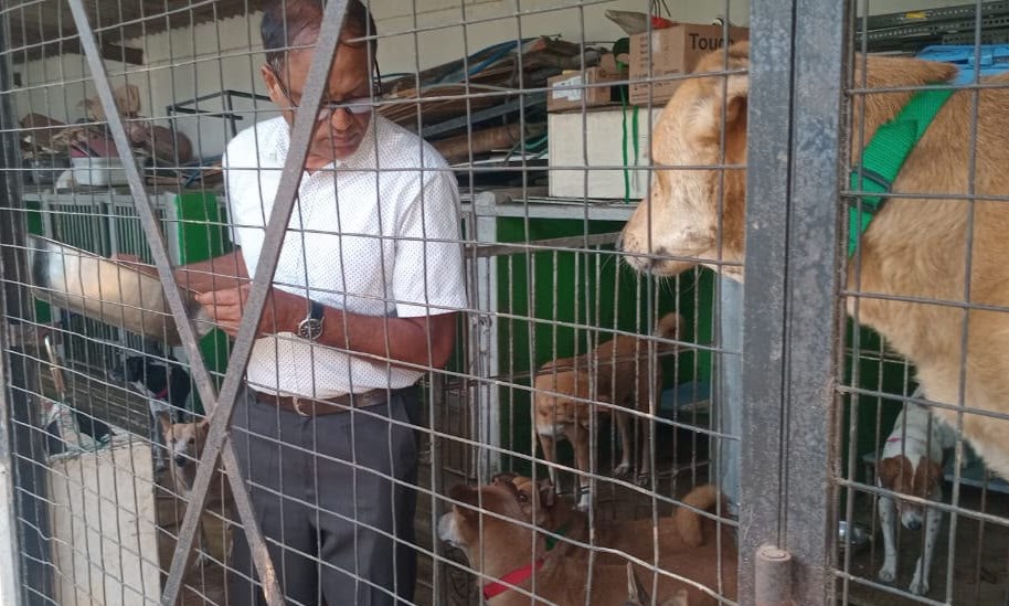 Gallery Media