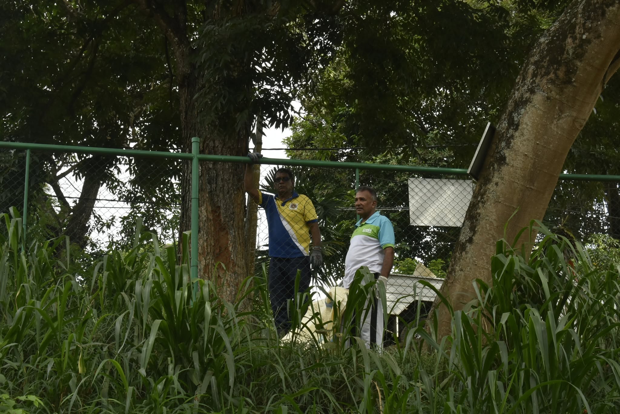 Gallery Media