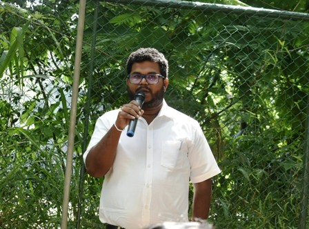 Gallery Media