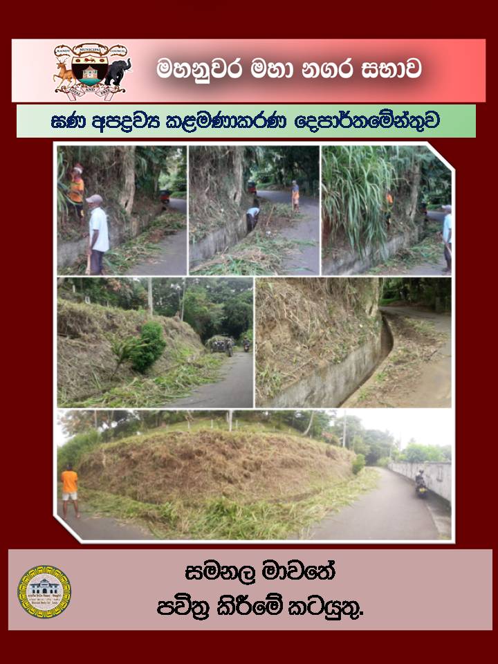 Gallery Media