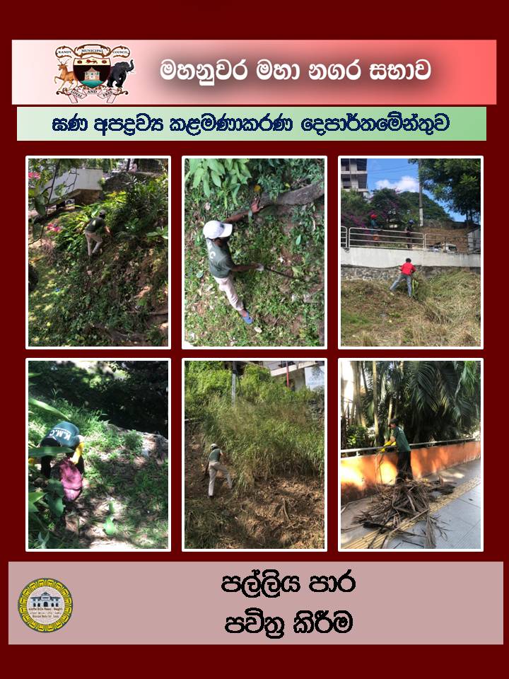 Gallery Media