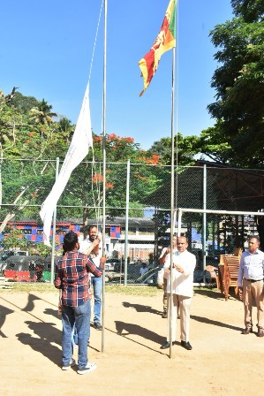 Gallery Media