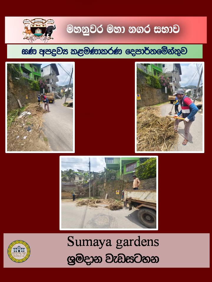 Gallery Media