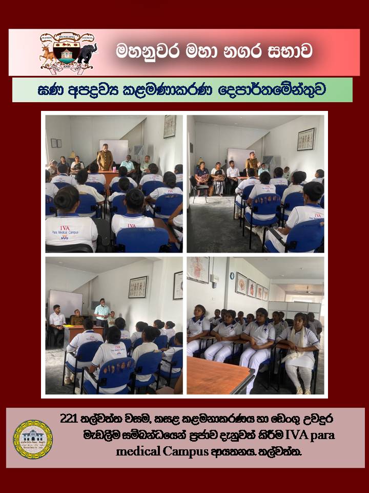 Gallery Media