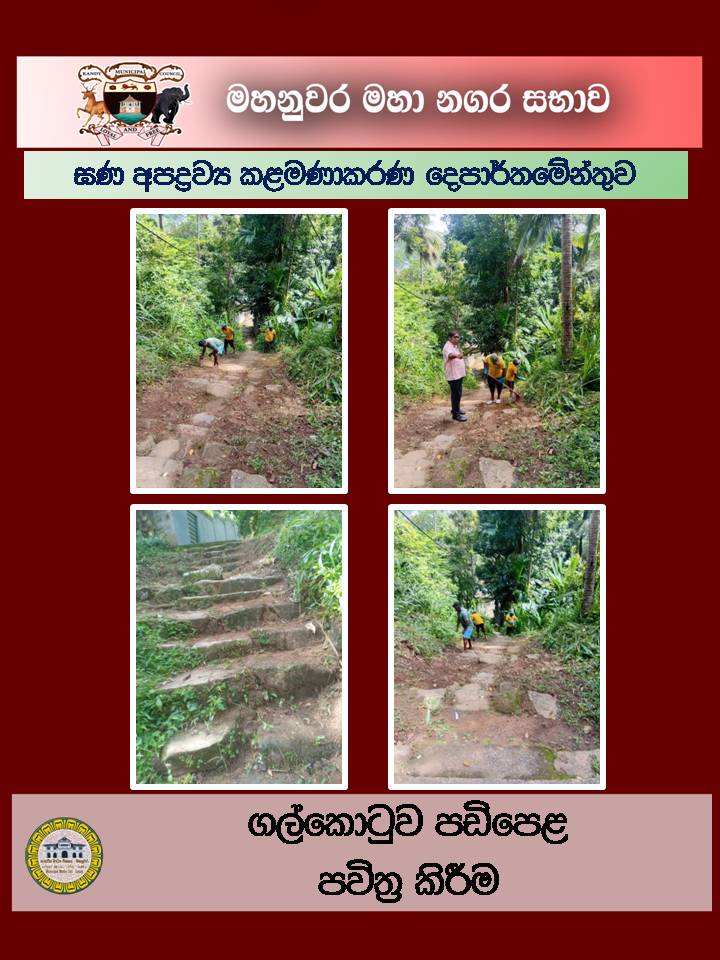 Gallery Media